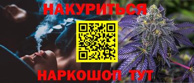 сатива Славгород