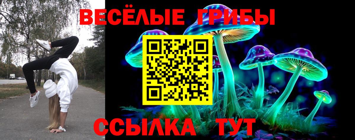 Галлюциногенные грибы MAGIC MUSHROOMS Старая Купавна