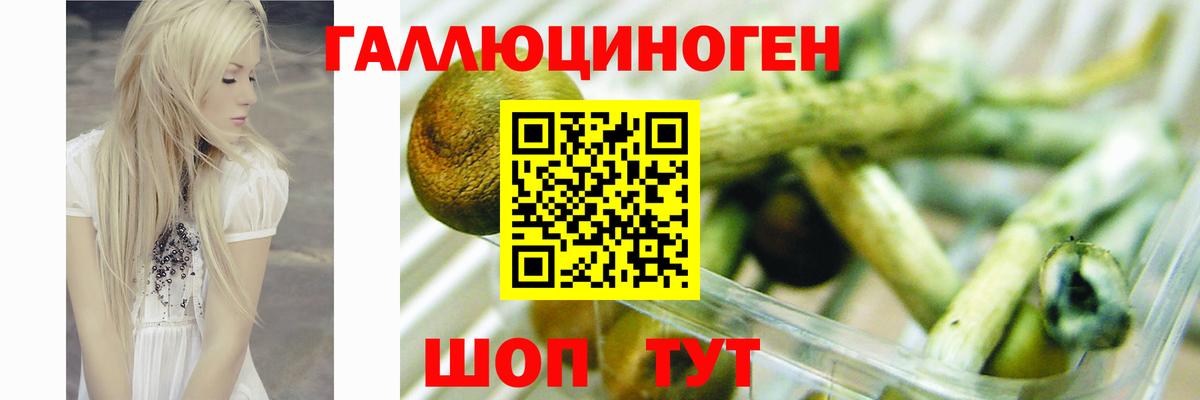 Старая Купавна  наркошоп  Вход с VPN  Псилоцибиновые грибы прущие грибы 